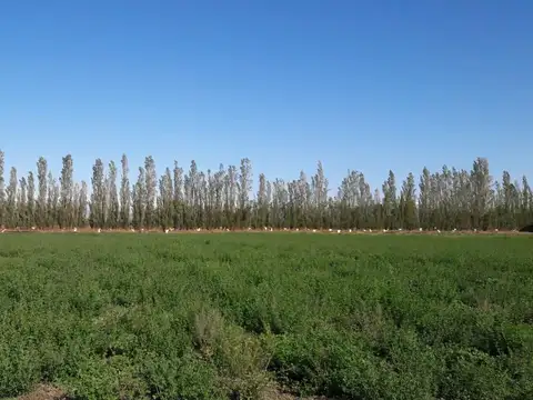 Terreno en Venta de 165577,0 m2