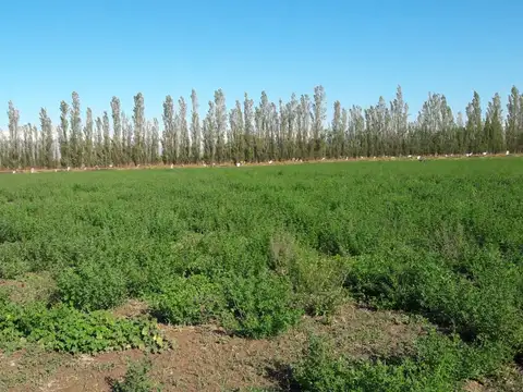 TERRENO DE 16 HECTAREAS. RAWSON