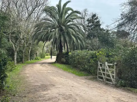 EL BOSQUE Capilla del Señor
