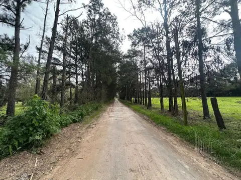 Quinta en Venta en Capilla del Señor, USD 270.000