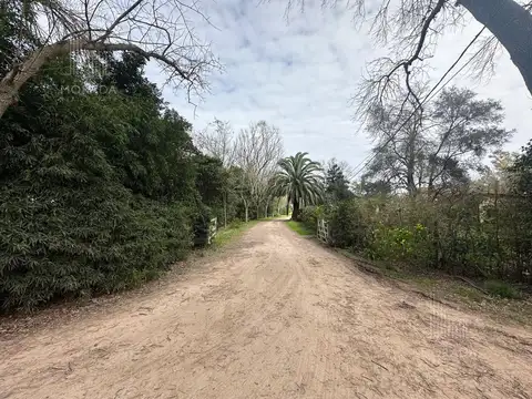 Venta Quinta de 4.000 m2 Gran arboleda Barrio semi cerrado