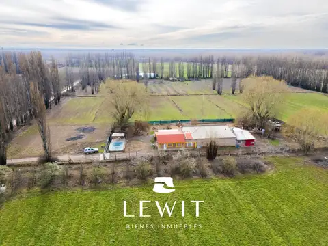 Venta chacra 9.5 hectáreas | Vista Alegre Sur | en producción | gas natural | electricidad trifásica