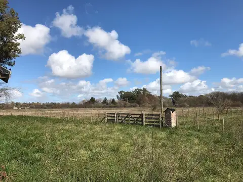 CAMPO 25 HAS. - ZONA URBANA - PARA DESARROLLO INMOBILIARIO - LOBOS