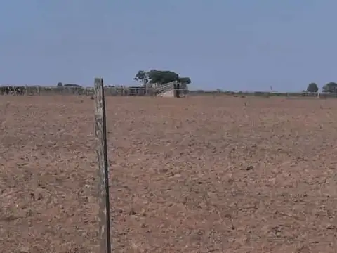 18 HAS AGRICOLA SOLEDAD