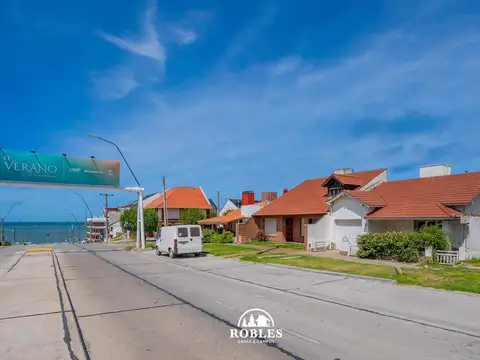 Mario Bravo 100
