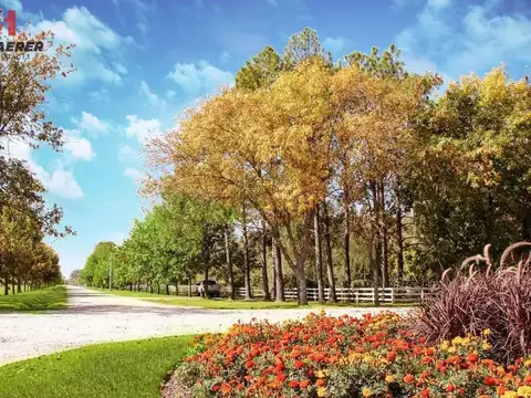 Barrio Privado Fincas De San Vicente Golf 267