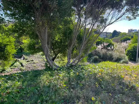 Terreno en Venta 17,69  mts Frente