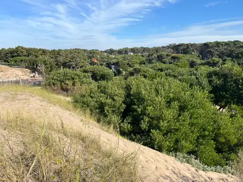 Terreno en Venta 25,26  mts Fondo