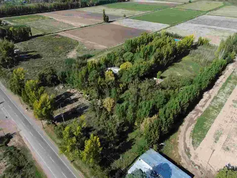 Terreno en Venta en Carrizal de Abajo, Luján de Cuyo