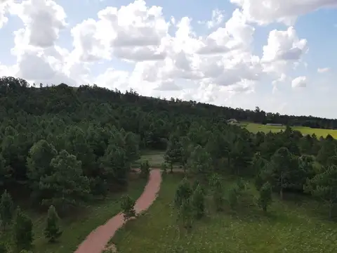 Ruta 12 y 2000 metros de camino