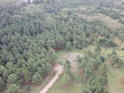 Chacra de 4,8 ha Lapataia, Maldonado Uruguay.