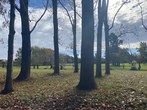 Terreno en Venta de 1000,0 m2