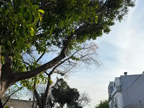 Depto Tipo Casa Monoambiente con 1 baño