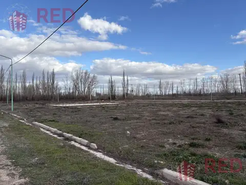 Terreno en Venta en Cinco Saltos, USD 10.000