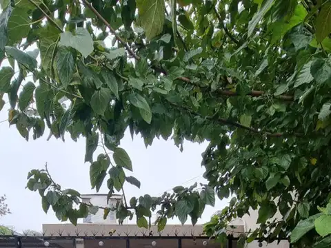 Casa En Venta De 3 Ambientes En Excelente Estado En San Miguel