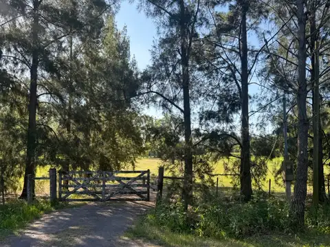 Quinta - Lisandro Olmos Etcheverry