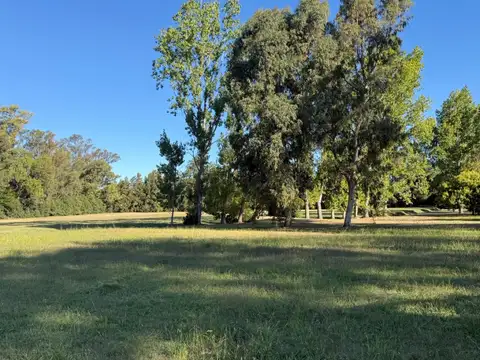 Quinta - Lisandro Olmos Etcheverry