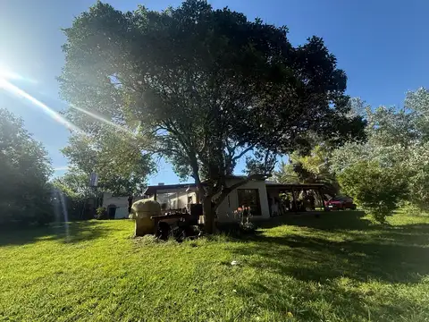 Quinta en Venta en Lisandro Olmos Etcheverry, USD 650.000