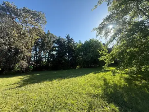 169 y 41