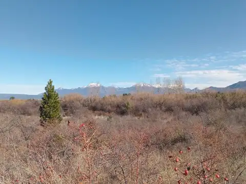 Terreno en Venta de 20000,0 m2