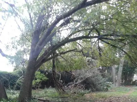 Terreno en Venta de 3328,0 m2