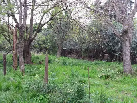 Terreno en Venta en Villa Elisa, USD 380.000