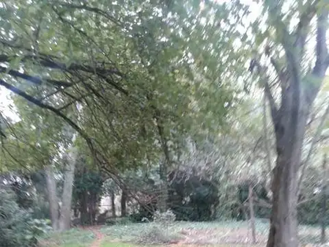 Terreno en Venta 37  mts Frente