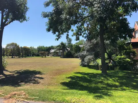 Terreno en Venta 40  mts Fondo