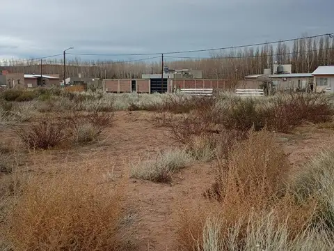 Terreno en Venta 20  mts Frente