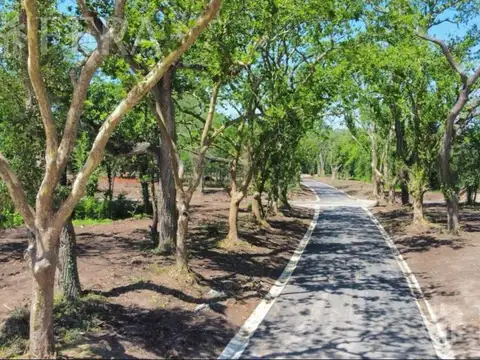 RESERVA FINCAS- LOTE A37