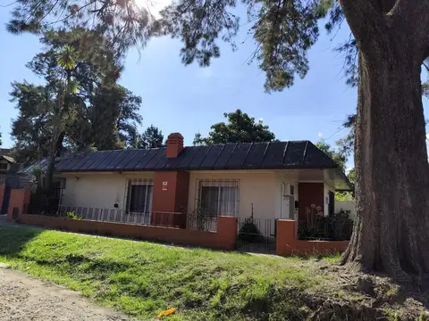 Las casuarinas