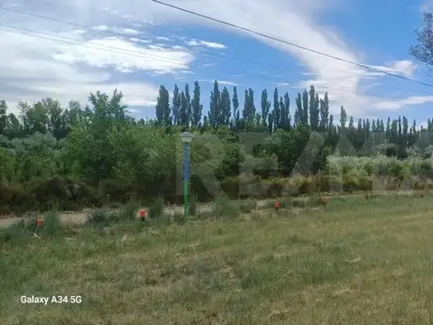 Excelente oportunidad  Chacra en Alquiler