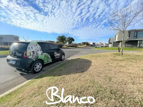 Puertos del Lago - Araucarias -