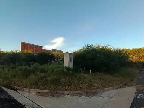 Gobernador López Jordán 200