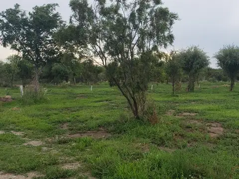 Terreno en Venta de 1600,0 m2