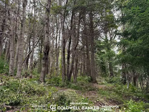 Terreno en Venta de 644,0 m2