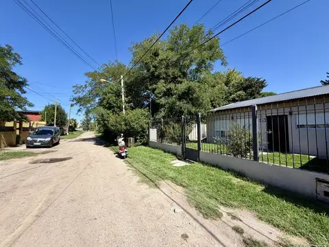 El Benteveo 300