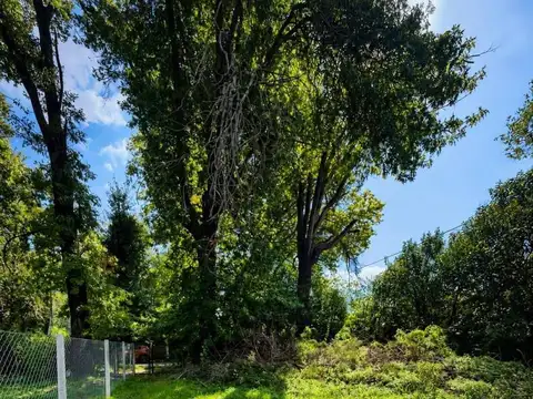 Terreno en Venta de 241,5 m2