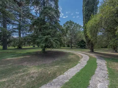 Terreno en Venta de 541,0 m2