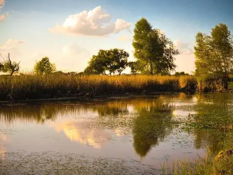 Terreno en Venta de 3043,0 m2