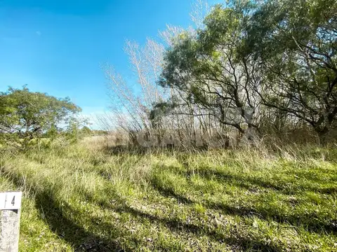 Terreno en Venta de 38330,0 m2