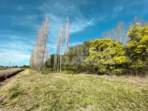 Terreno en Venta de 38330,0 m2