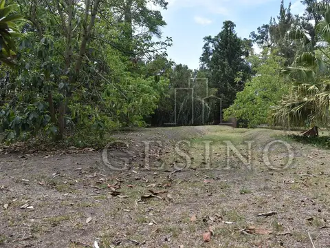 Terreno en Venta 20  mts Frente