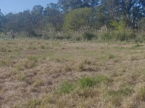 Terreno en Venta 68  mts Fondo