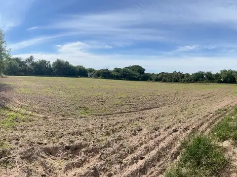 Coronda