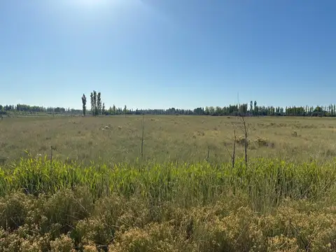 VENTA DE CHACRA CERVANTES - ESQUINA