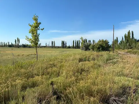 VENTA DE CHACRA CERVANTES - ESQUINA