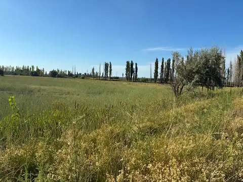 VENTA DE CHACRA CERVANTES - ESQUINA