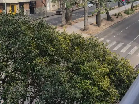 Necochea 3500