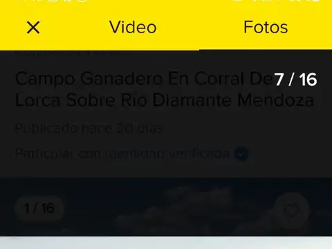 Campo - General Alvear